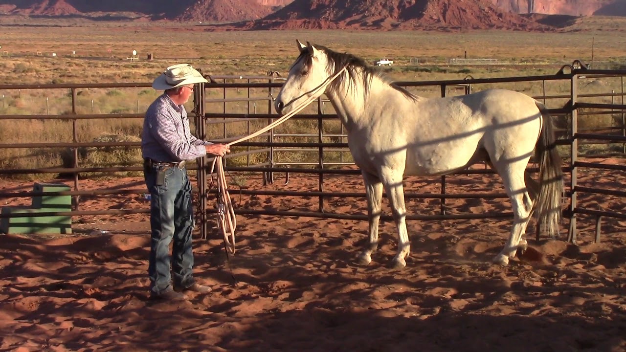 Wild Mustang Training Silver Day 2