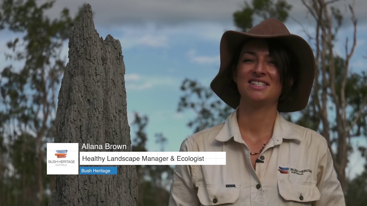 Bush Heritage Australia: Bringing Alwal Home