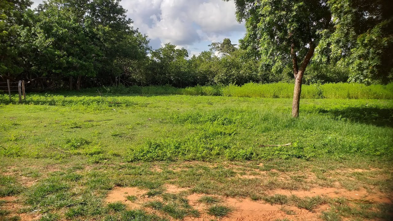 Seja todos bem vindo ão  canal 