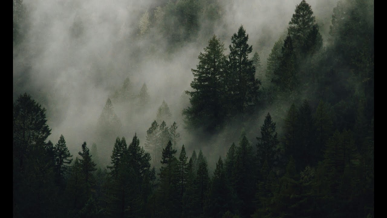 Fall Asleep Fast &ndash; Deep Sleep Ambient Music | 2 Hour 40 Minutes