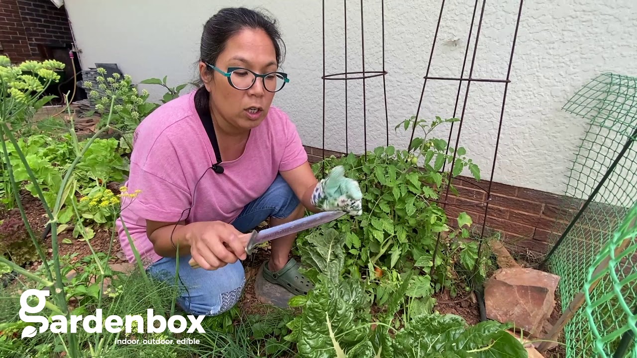 Gardenbox Hori Hori Knife