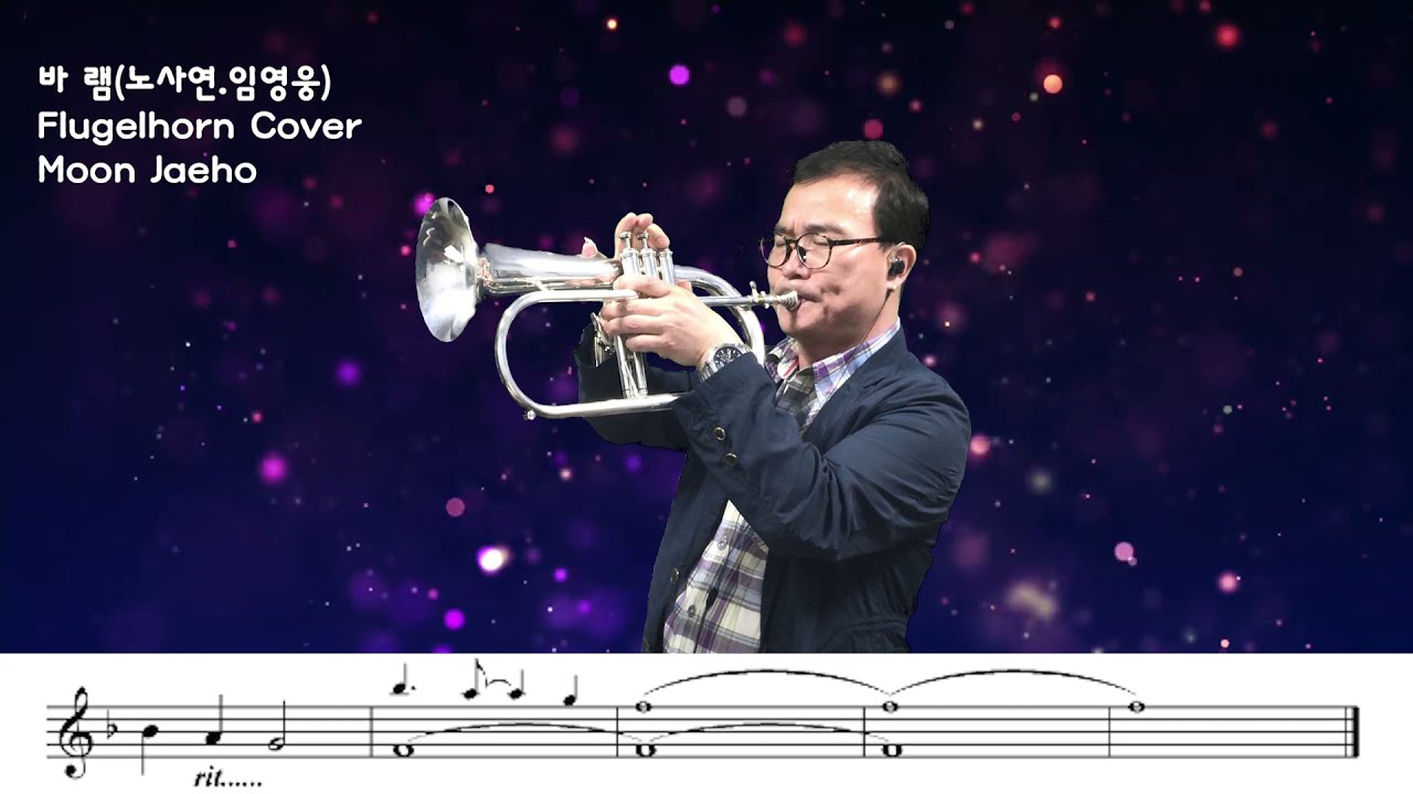 바 램(노사연.임영웅)Flugelhorn Cover Moon Jaeho