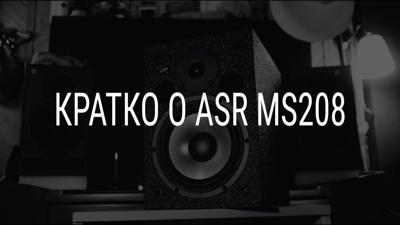 Кратко о ASR MS208
