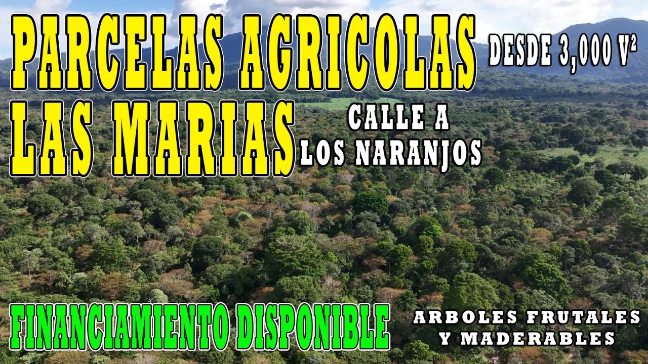PARCELAS AGRÍCOLAS con ÁRBOLES FRUTALES y FINANCIAMIENTO DISPONIBLE de 3 y 8 años | CRV EL SALVADOR