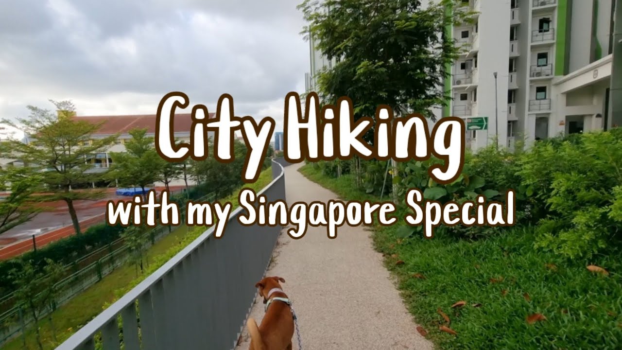 [Stylogeeklife] Hiking with dog in Singapore - Short & easy
