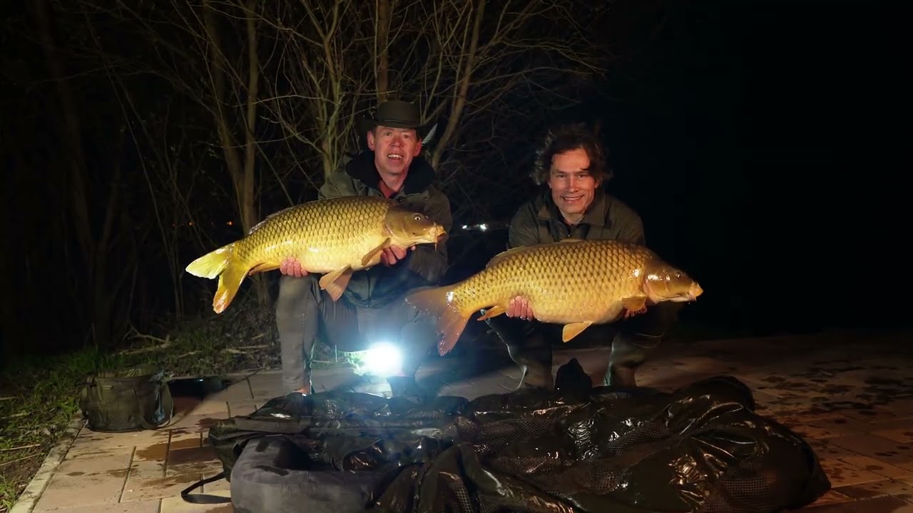 The Spring Session 