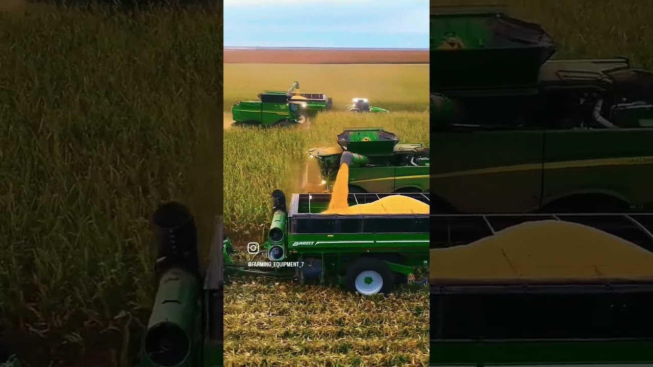 🌽Brent V-Series grain cart 