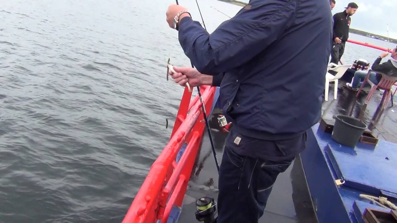 Vissen op het Grevelingenmeer