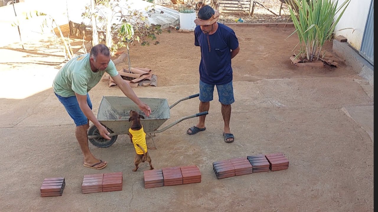 Bastidores  !! Seu Sérgio ganhou um dinheiro de seu Cilso e de Seu Mané  !!