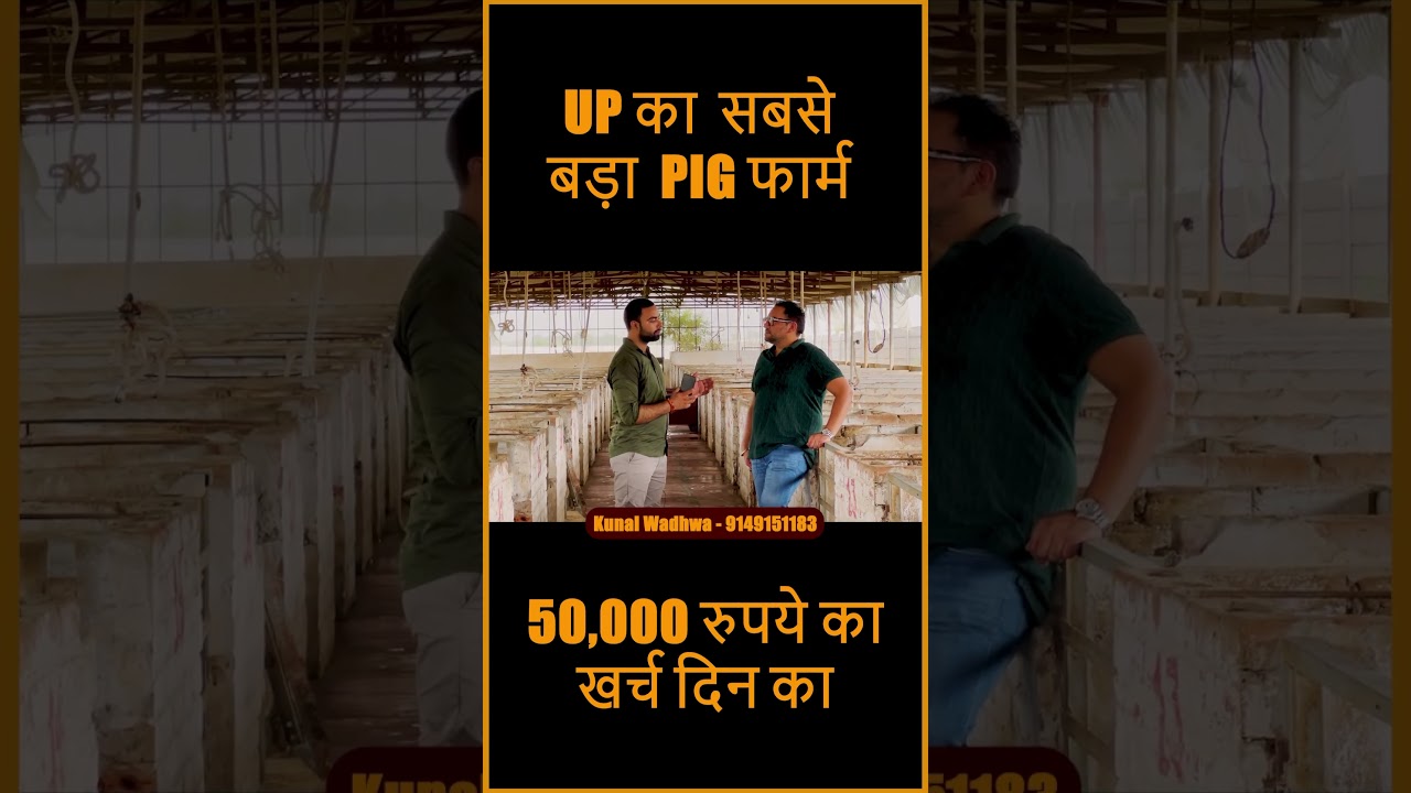 How To Start Pig Farm @BhartiyaKisaan_bk | Pig Farming