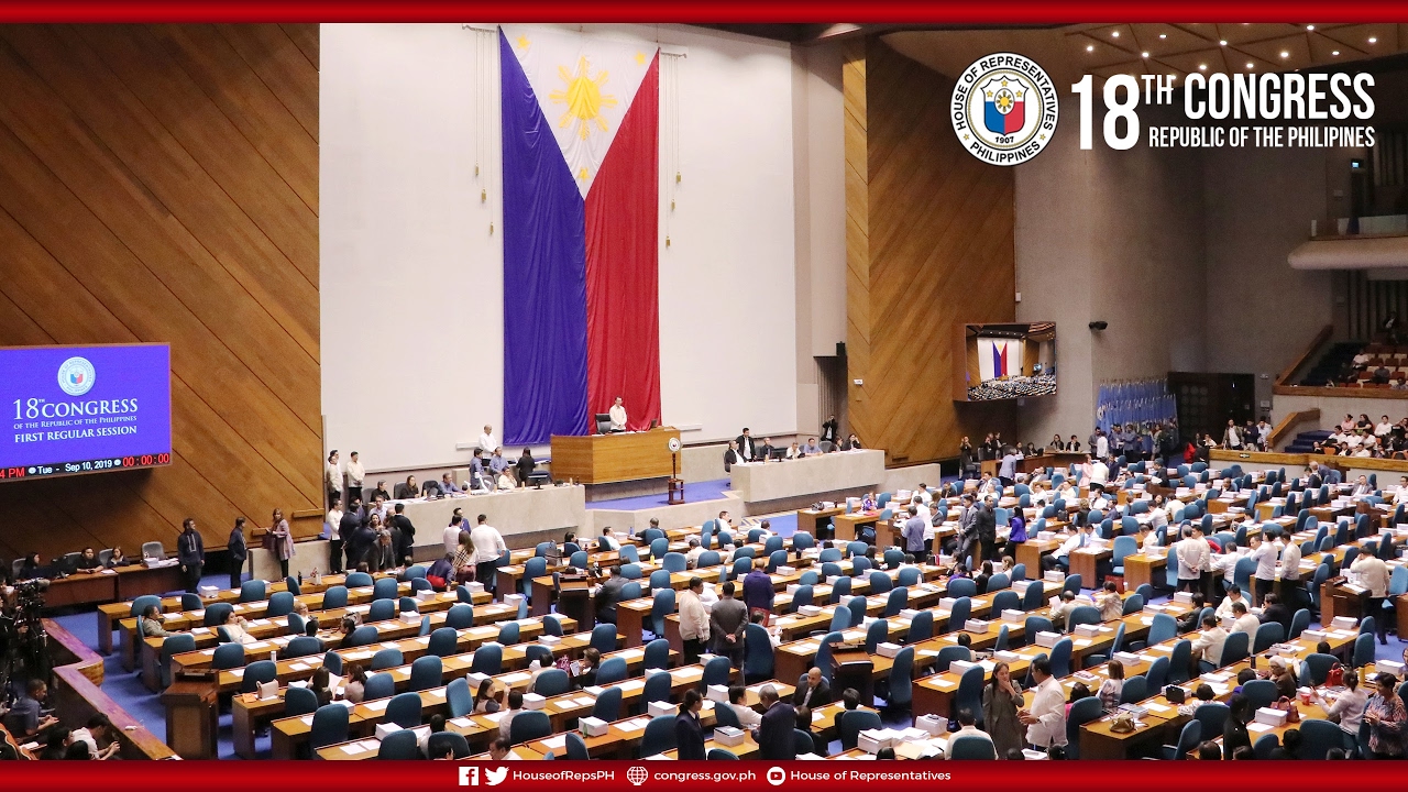 Fiscal Year 2021 Budget Hearing : CHED