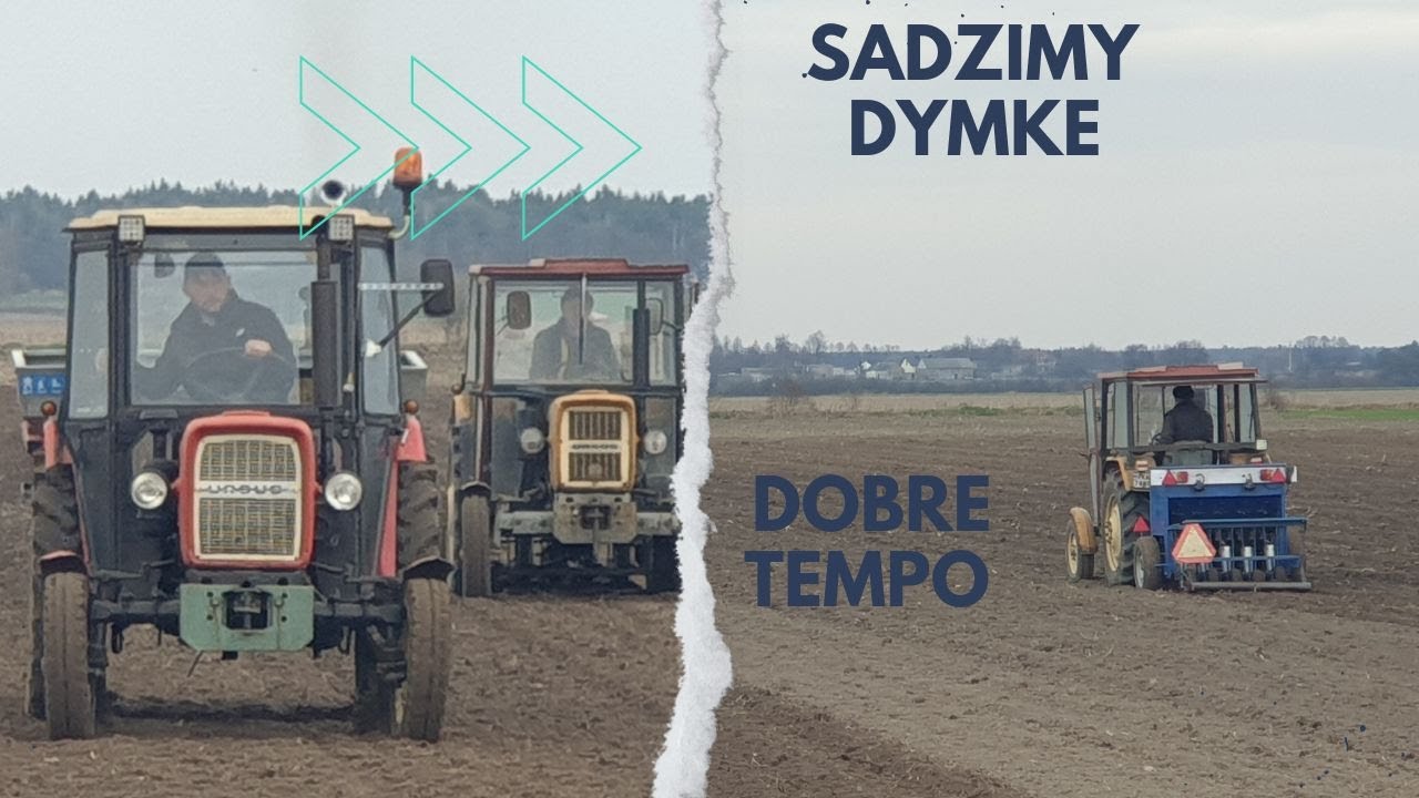 Sadzenie Cebuli z Dymki 🔥 50-LETNIE Ursusy na Polu!!! 🔥 Nowe Uprawy🔥!! 2x C-330🔥 RYK NA GÓRACH🔥 ..!!