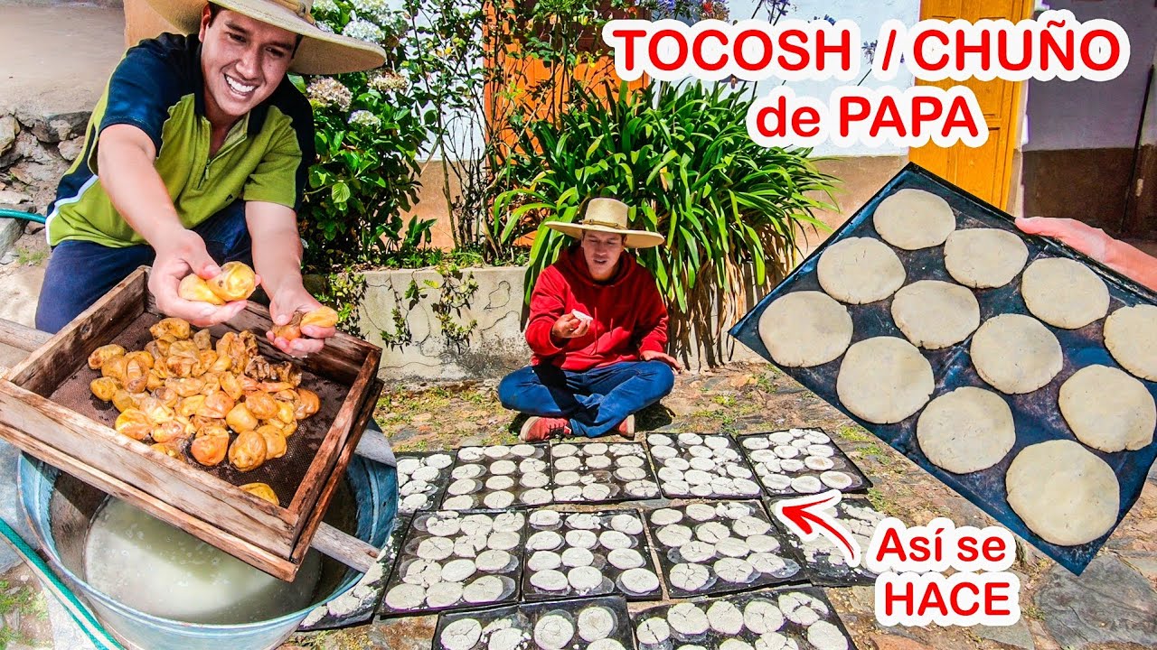 Así ELABORO 