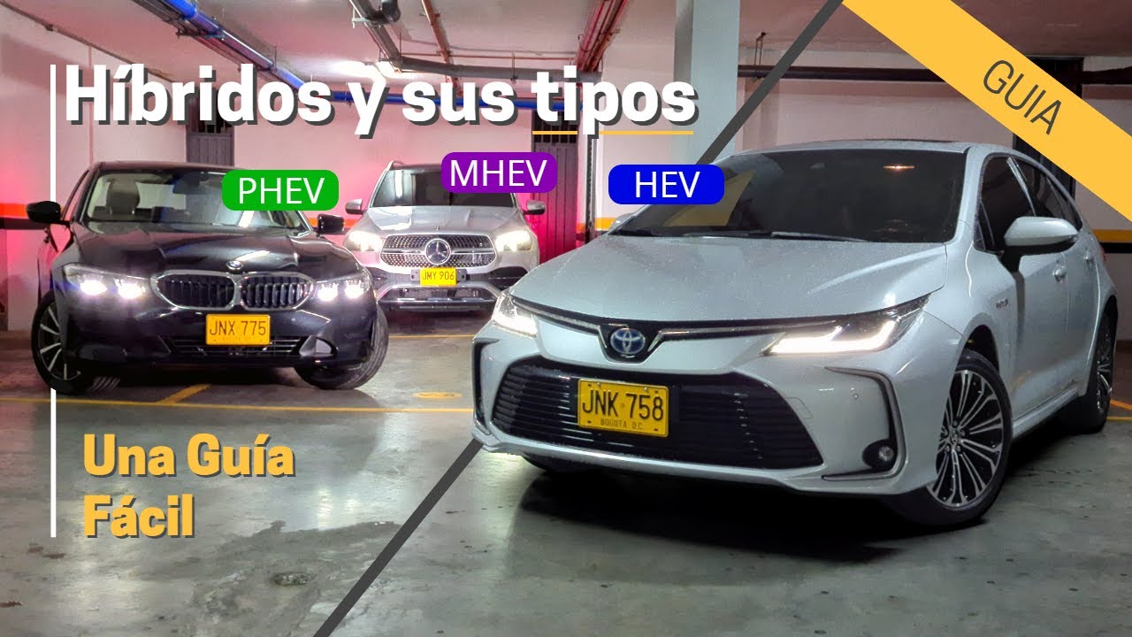 Híbridos y sus tipos: Una Guía Fácil