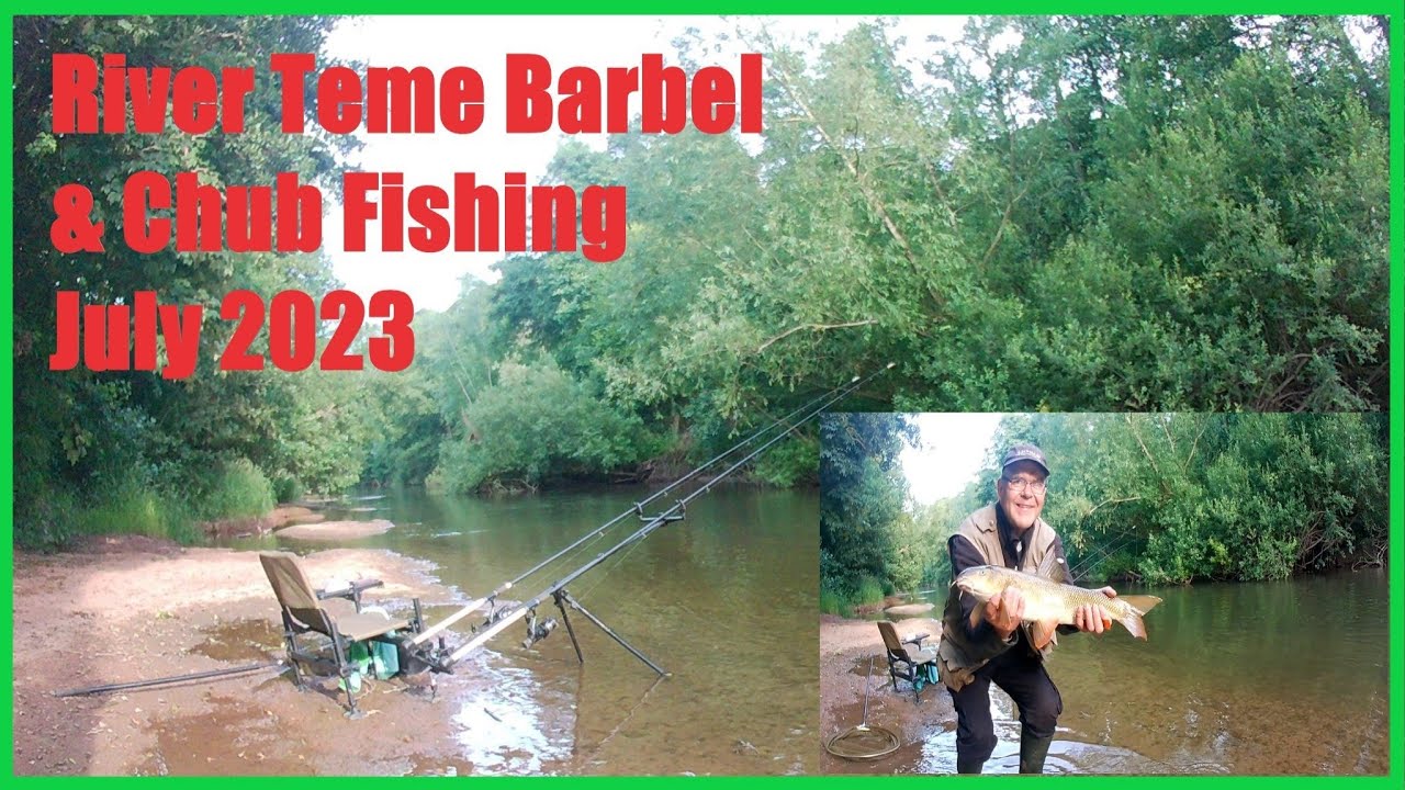 River Teme Barbel & Chub Fishing July 2023 🎣