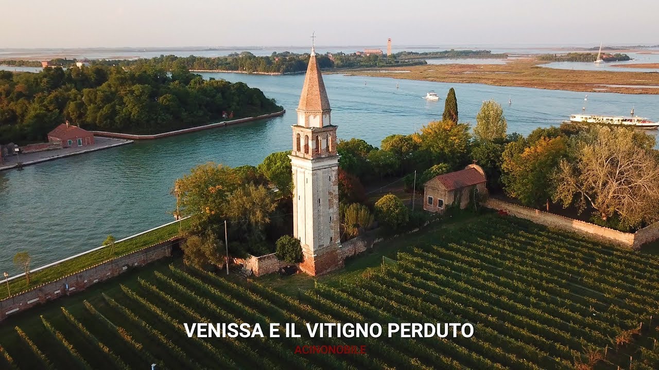 Venissa e il vitigno perduto