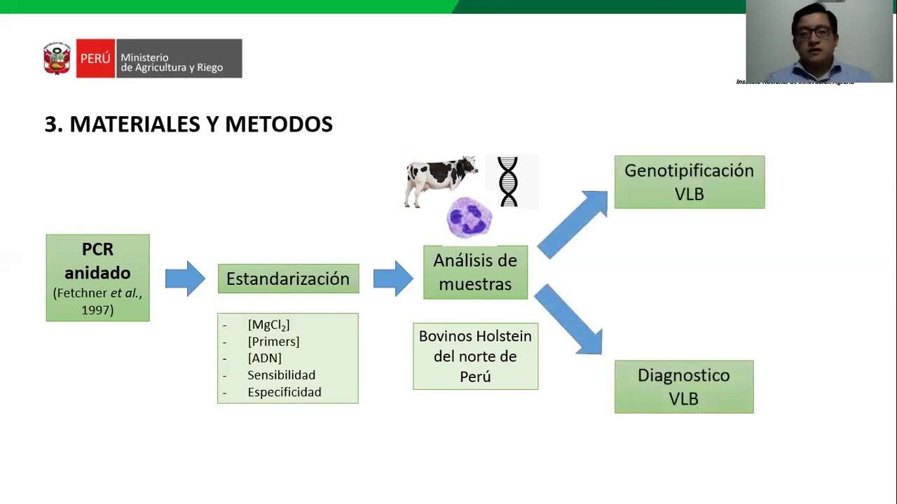 Protocolo de diagnóstico rápido y tipificación molecular del virus de la Leucosis Bovina