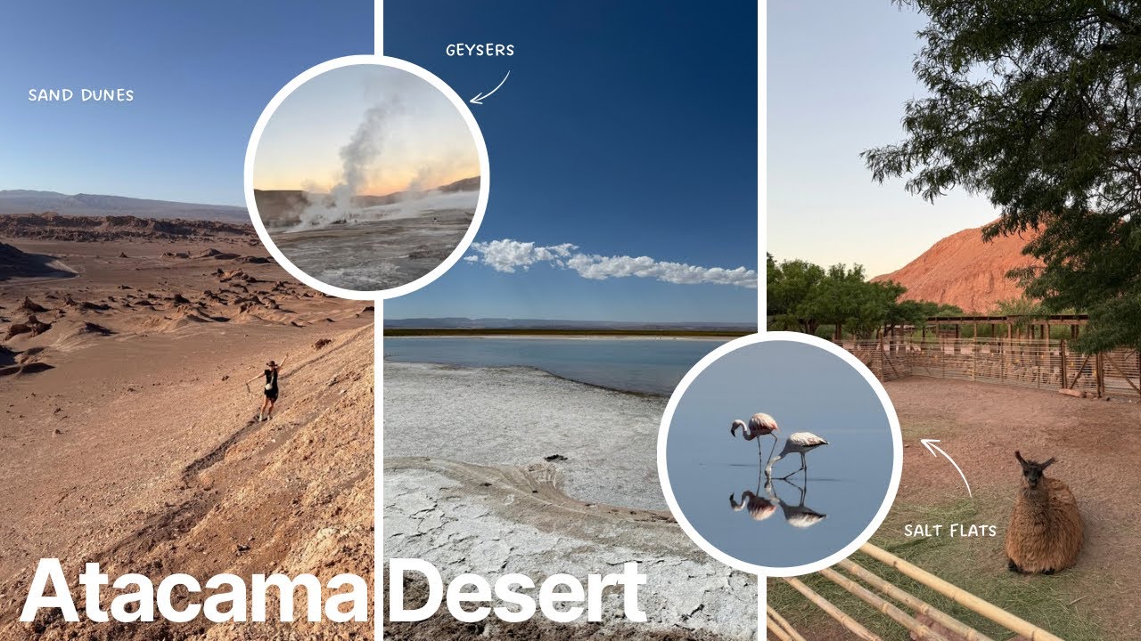 Atacama Desert Vlog! Salt flats, Hiking, Sand Dunes, Geysers, Céjar Salt Lagoon + more