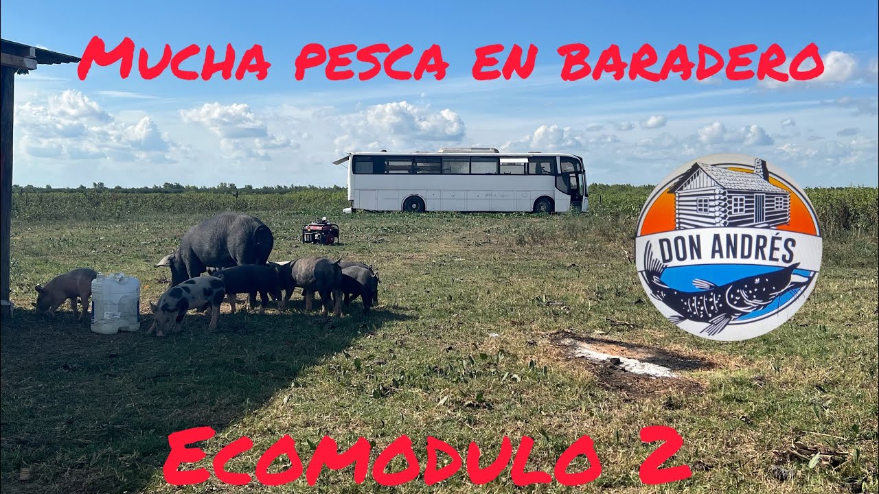 Linda pesca en baradero ecomodulo 2 de don andres!!