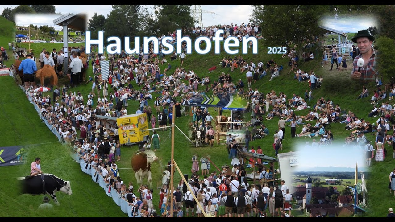 Ochsenrennen Haunshofen 2025 | Festwoche Haunshofen | Komplettes Rennen