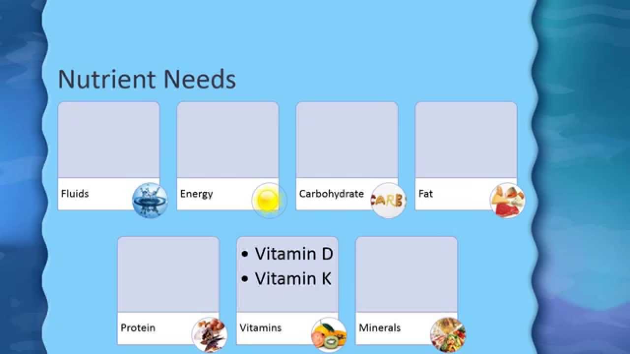 Newborn Nutrition & Feeding