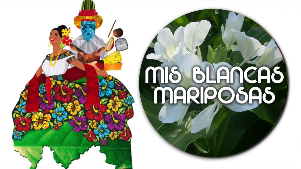 Musica Tabasqueña - Mis Blancas Mariposas / Marimba