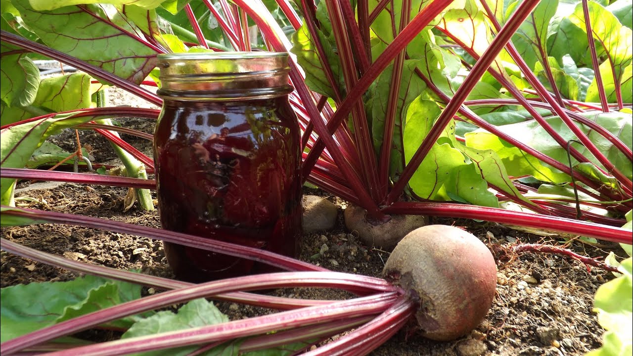 How to Can Pickled Beets