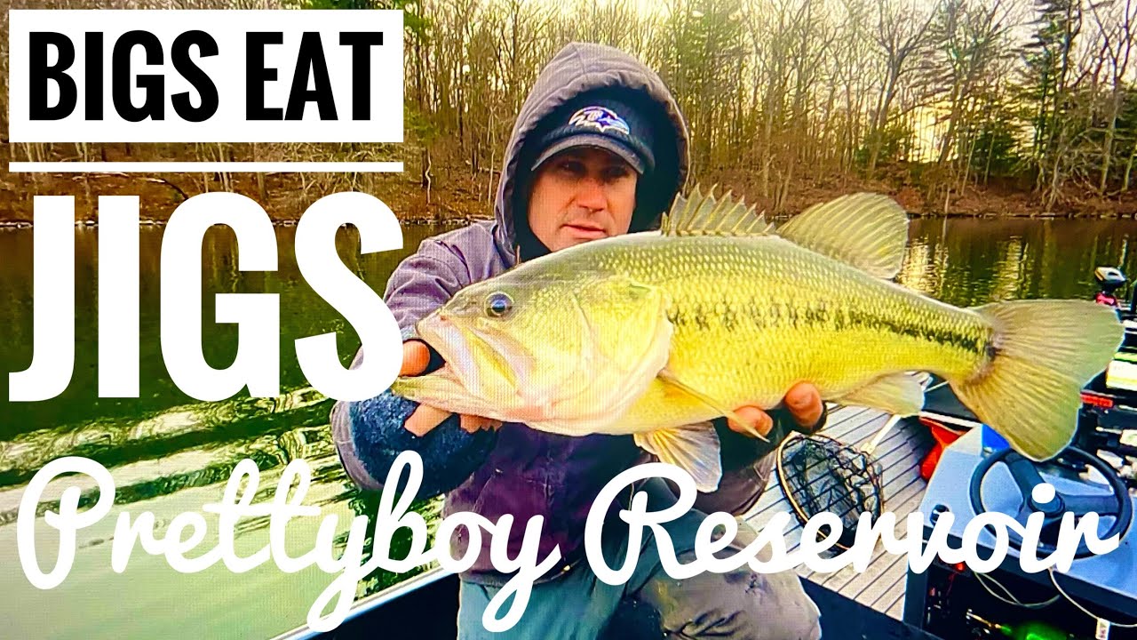 Cold Bass on Prettyboy Reservoir
