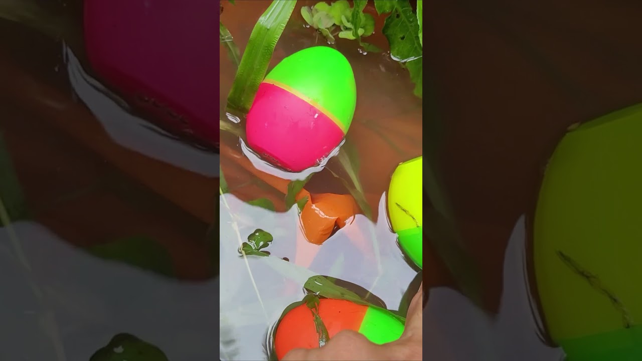 Can You Guess What's Inside The Egg 