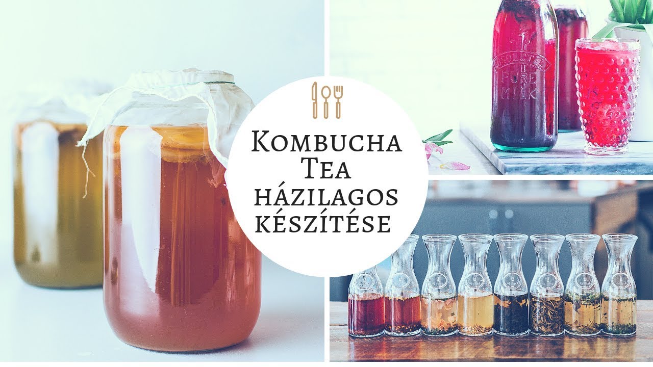 Kombucha tea házilagos készítése