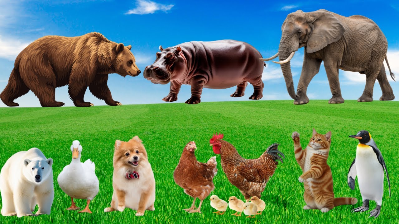 🎶 Khi Mèo Meo, Chó Sủa, Gà Gáy… Cũng Thành NhạcÂm Thanh Đồng Quê Dễ Thương & Thư Giãn 🐱🐶🐔🐄🐐