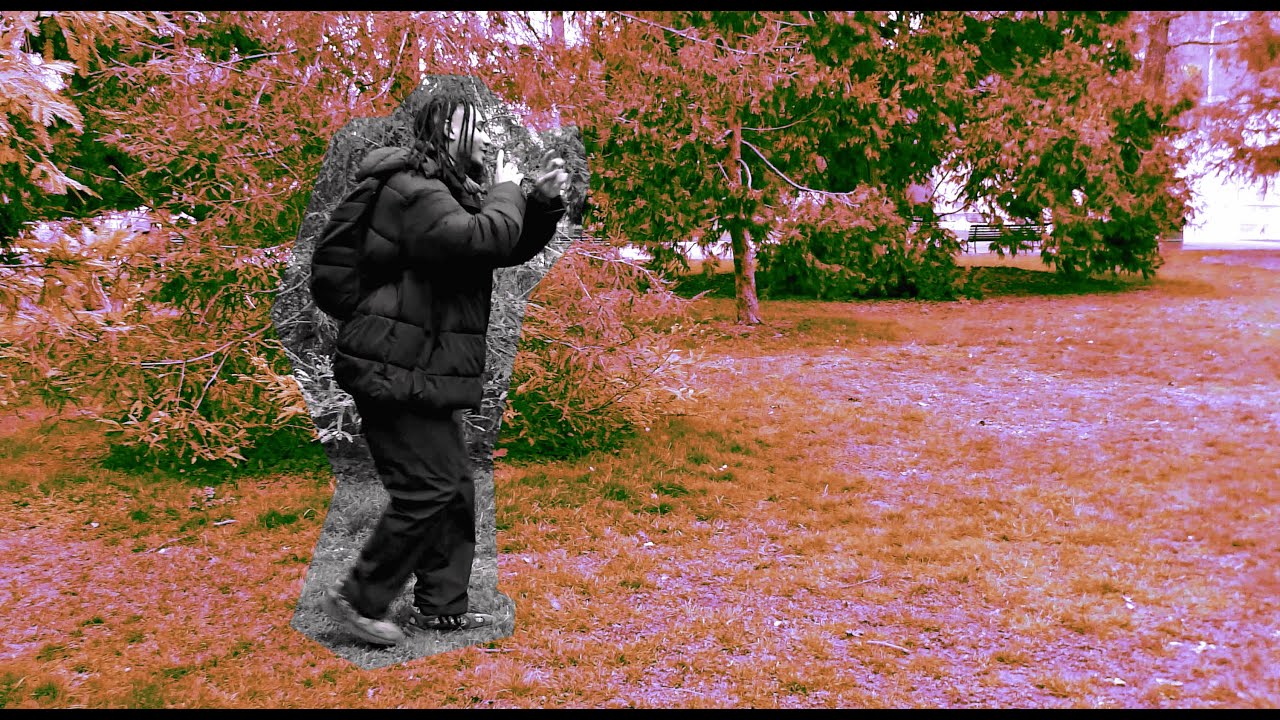 Blaze Boa - Honey Ride (Music Video)
