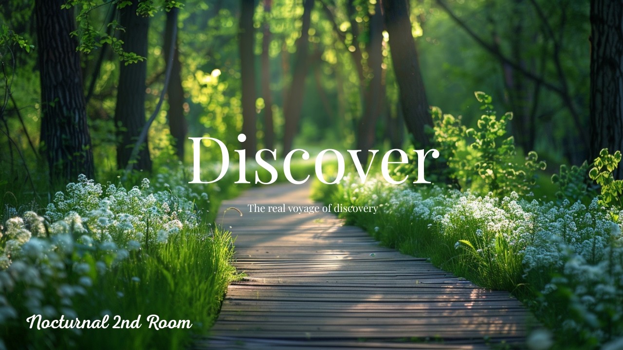 Discover | |Piano Music, Deep Sleep, Stress Relief, Soft, Focus, Healing, Calm, Gentle, Baby sleep