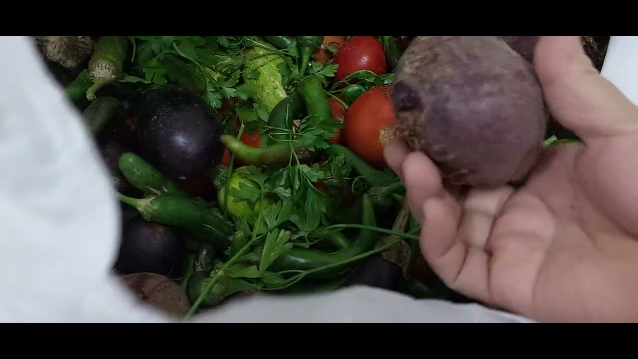 Vegetables fresh from the Farm mga ka @Analynphvlog 