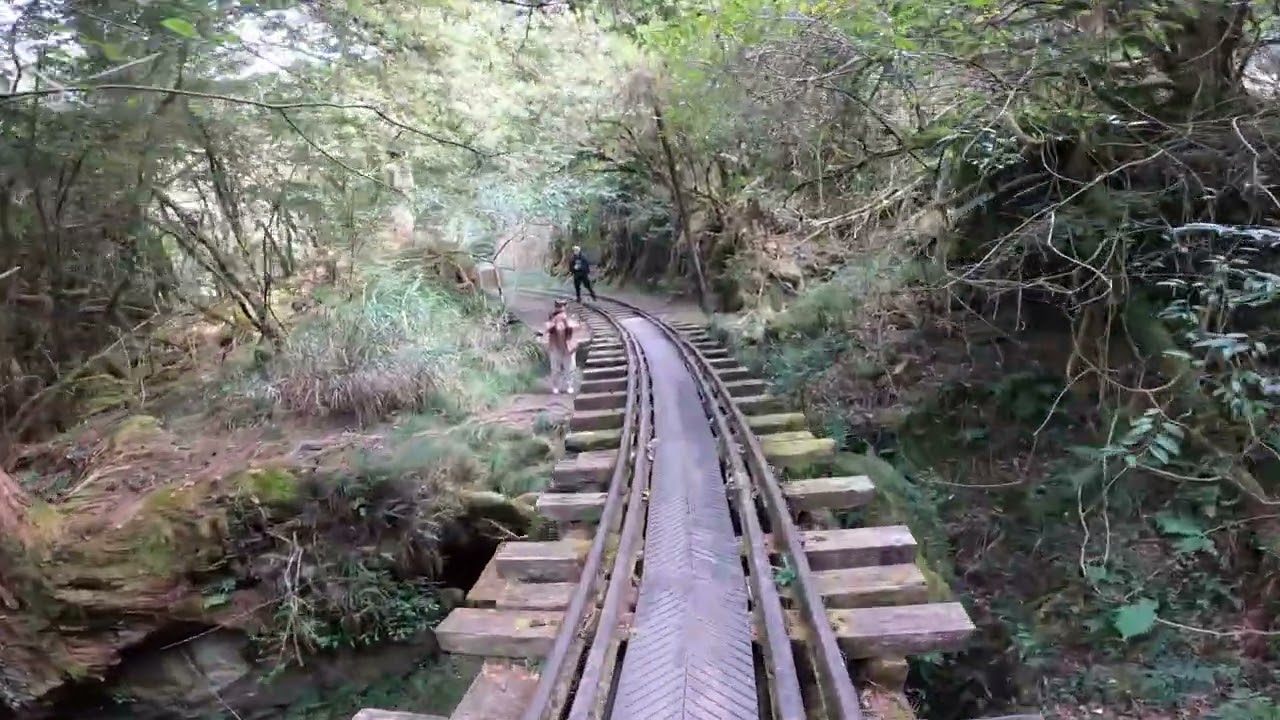 2026.01.01阿里山眠月石猴線