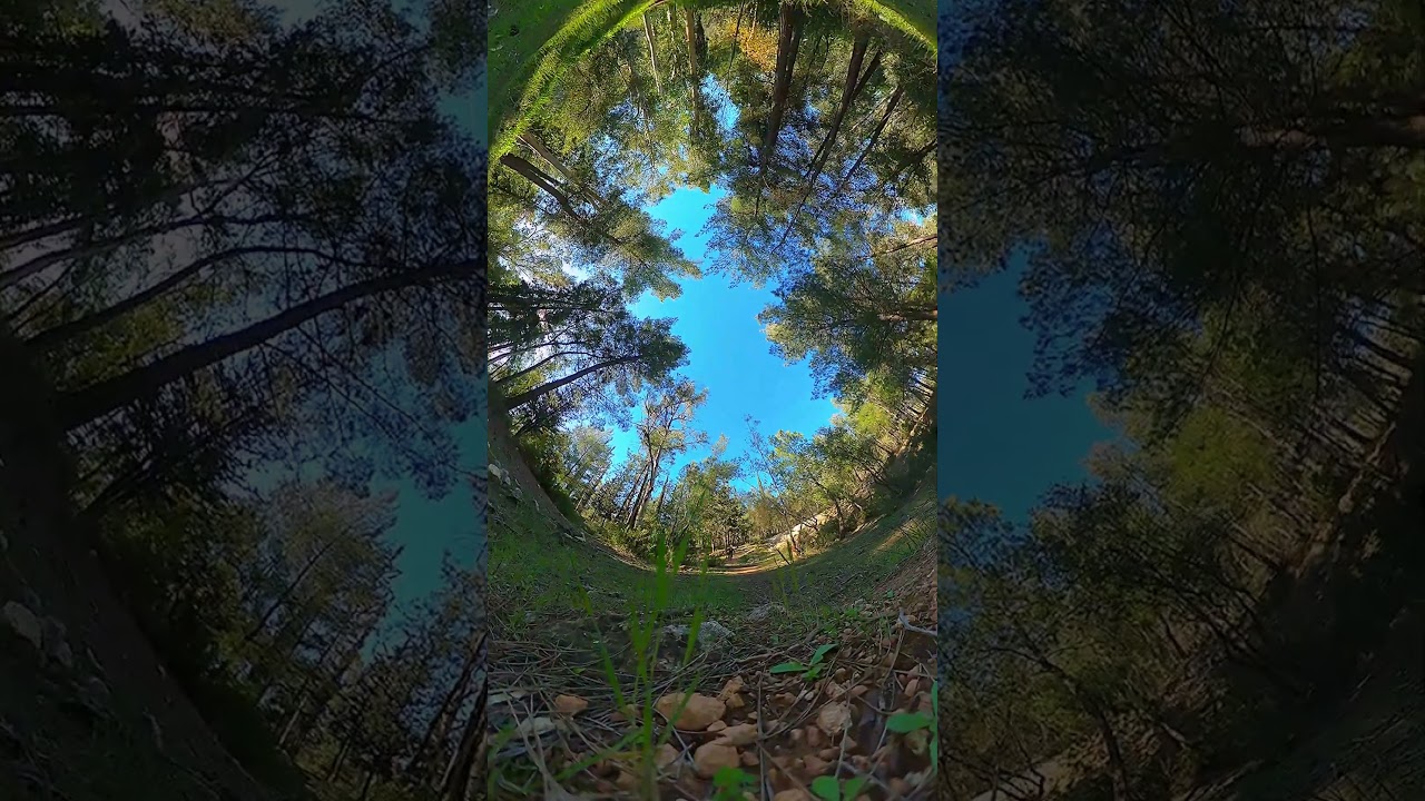 Beginner jump hardtail 