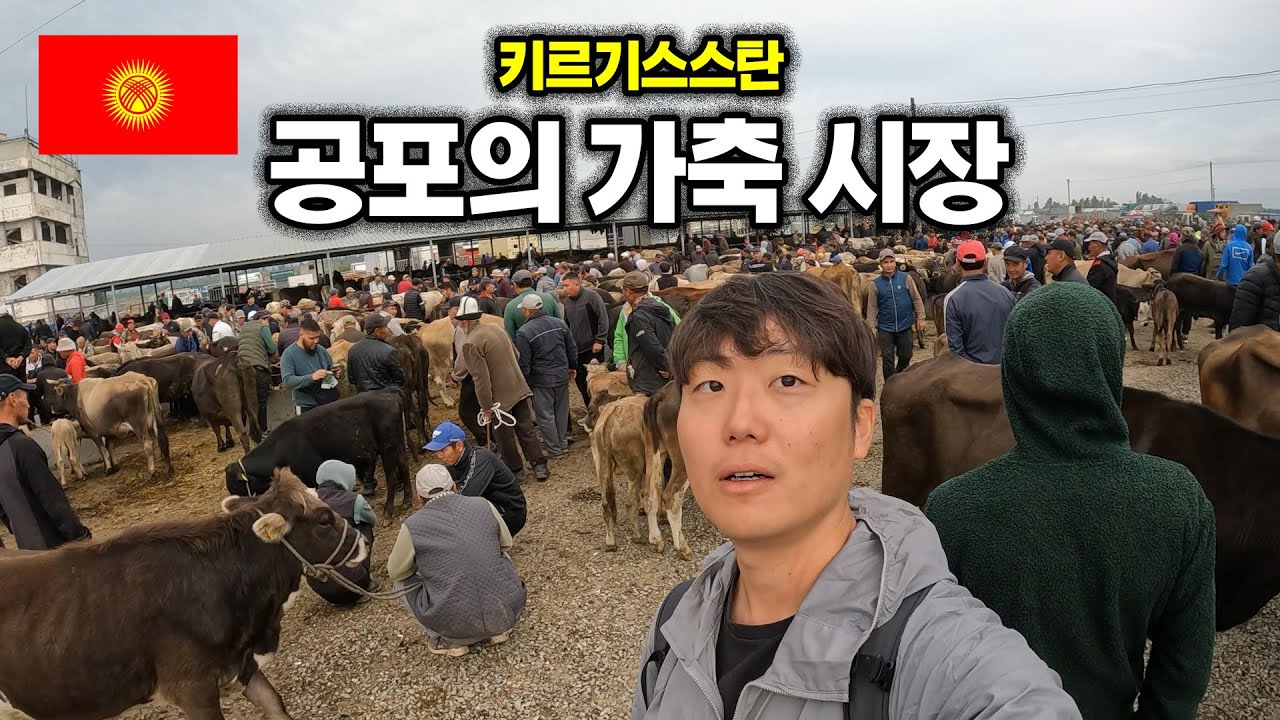 보고도 안믿기는 키르기스스탄 동물 시장 탐방기 【중앙아시아6】