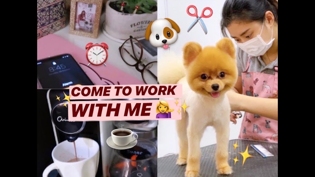 GO TO WORK WITH ME ! 🐶✨ | LIFE AS A PET GROOMER |
