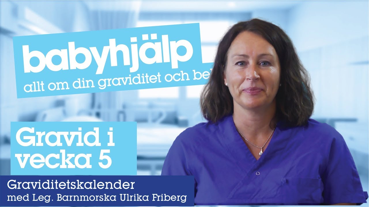 Gravid vecka 5 - kroppen och fostrets utveckling i graviditetsvecka 5
