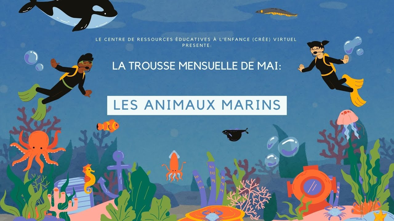Trousse animaux marins