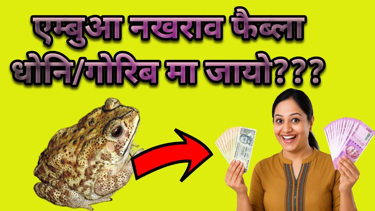 एम्बुआ नखराव फैब्ला धोनि/गोरिब मा जायो मोनथिनोब्ला  थाबै नायदो//Episode-19