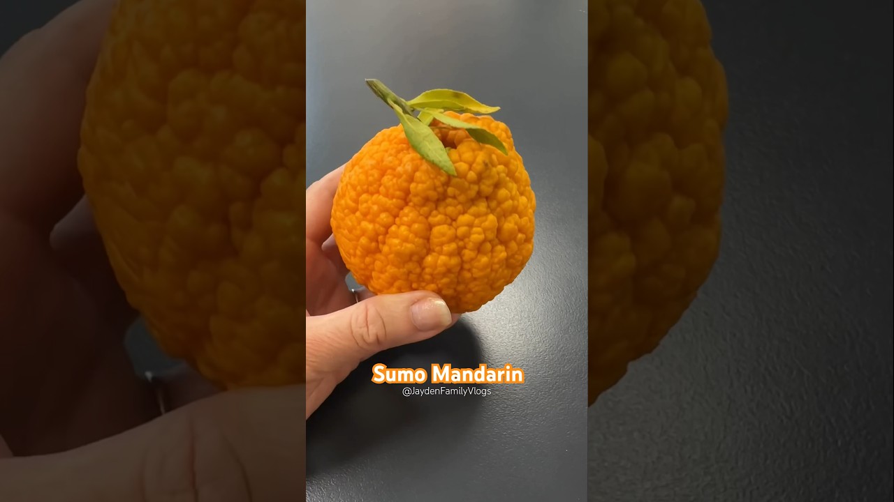 Let&rsquo;s try Sumo Mandarin 🍊😱  #shorts #satisfying #fruitcutting #fruit #food #oddlysatisfying #asmr