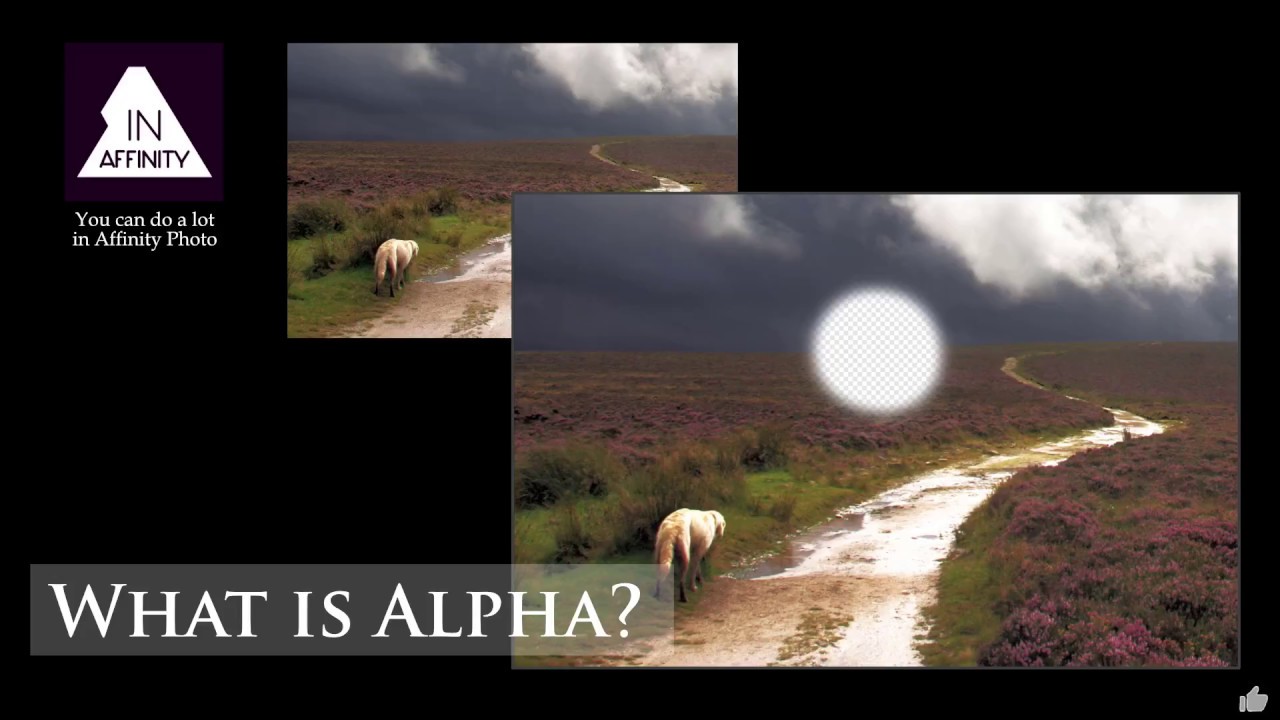 What is Alpha in Affinity Photo?