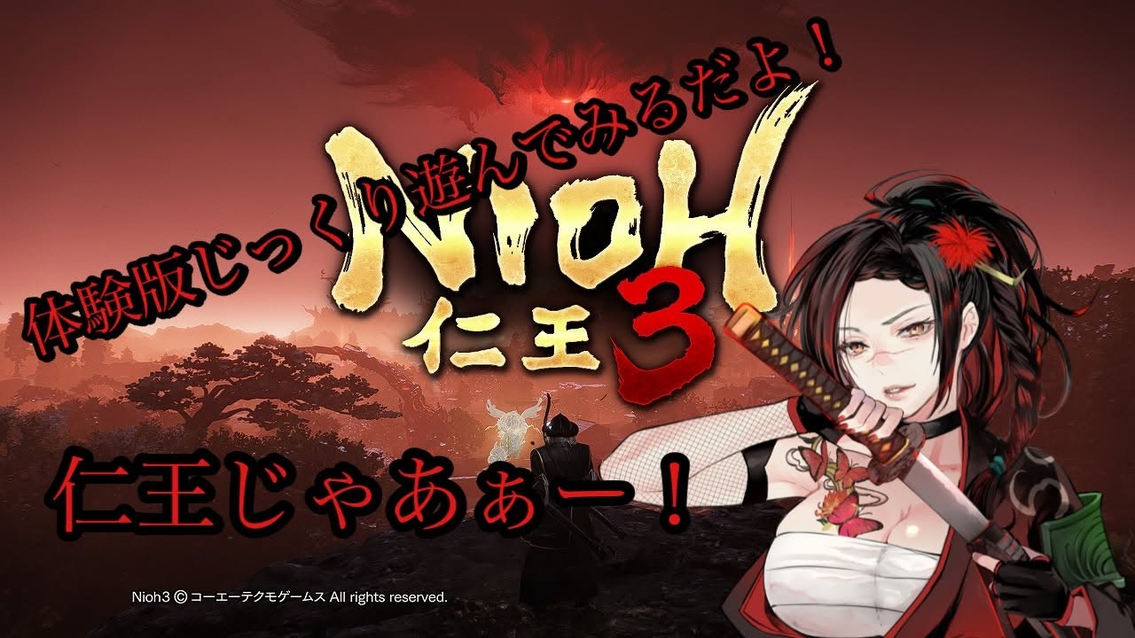 仁王３ 体験版　じっくりことこと遊んでいくだよ～
