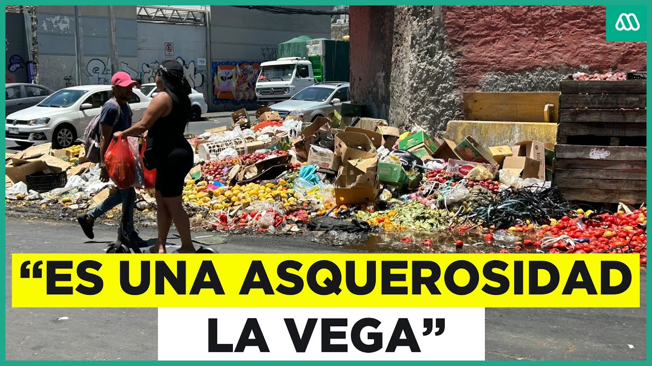 Comerciantes denuncian abandono de La Vega Central: Basura y delitos generan preocupación