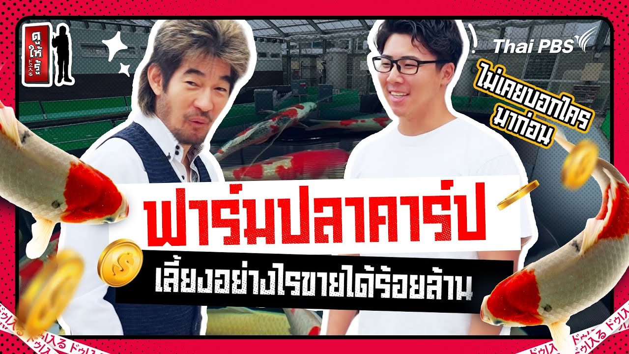 ฟาร์มปลาคาร์ปแถวหน้าในญี่ปุ่น เลี้ยงอย่างไรขายได้ร้อยล้าน | ดูให้รู้ Dohiru [CC]