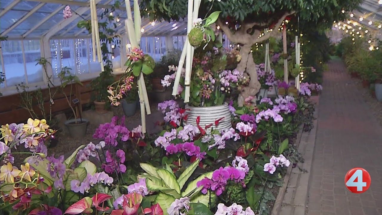 Buffalo & Erie County Botanical Gardens hosting 'Love Week' for Valentine's Day