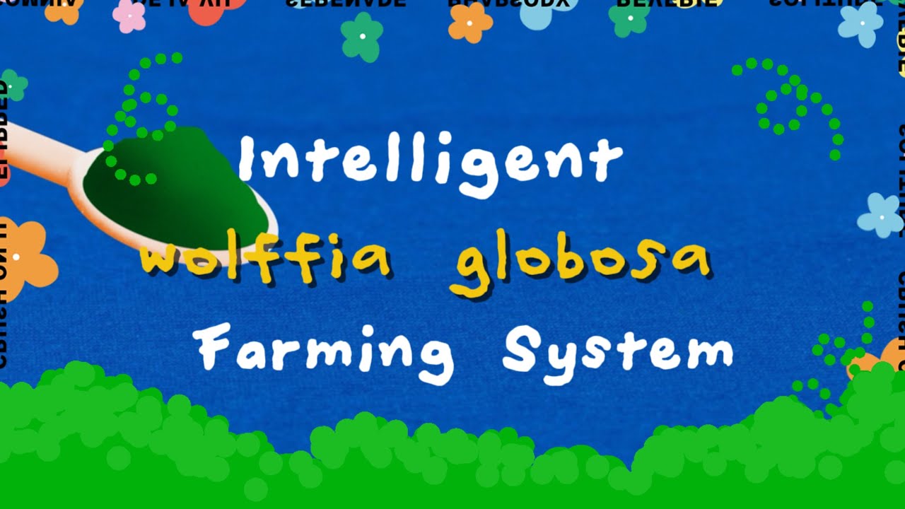 Intelligent wolffia globosa Farming System