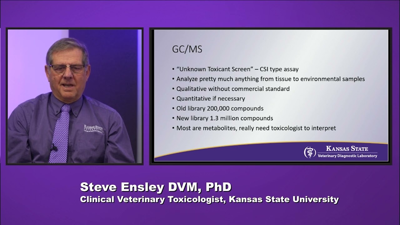 Small Animal Toxicology