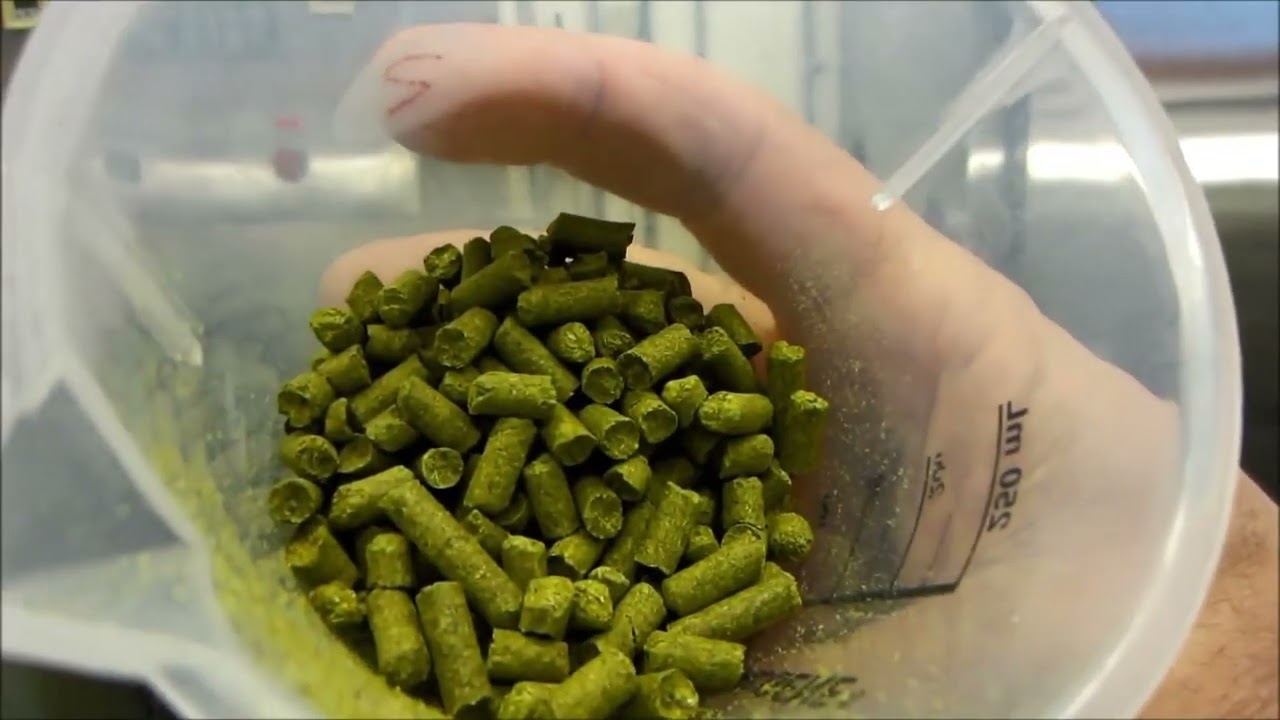 The function of adding hops to wort - processing and manufacturing of brewhouse equipment